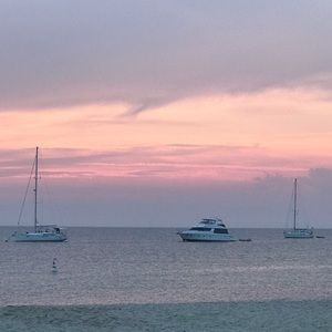 Meet your Posher, Jade